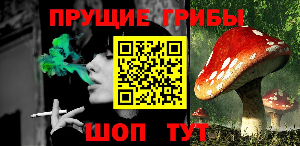 Галлюциногенные грибы мицелий Балтийск