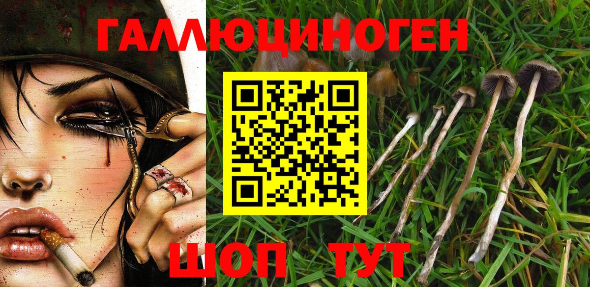 Галлюциногенные грибы прущие грибы  Вход с VPN  Псилоцибиновые грибы мицелий  Балтийск 